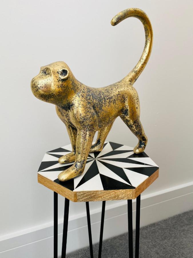 Stunning New Apartment Set In St Leonards On Sea Hollington  エクステリア 写真